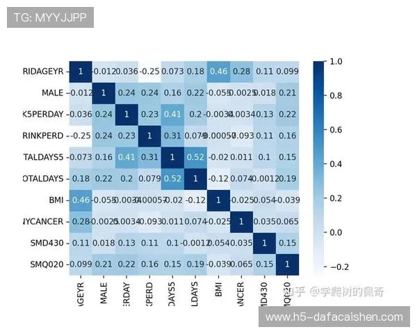 十一选五历史数据分析与趋势预测全方位研究方法解读