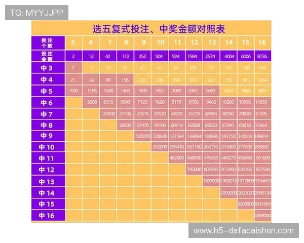 十一选五开奖号码走势分析与中奖规律全面解读指南