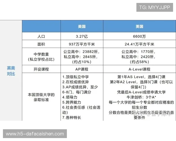 十一选五揭秘背后的选号逻辑与实战技巧全面解析帮助新手快速掌握方法