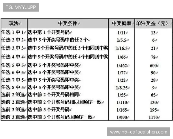 幸运11选5投注技巧全解析助你稳健提高中奖概率指南