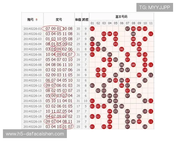 聚焦11选5今晚开奖走势与投注技巧全面解析最新形势深度剖析